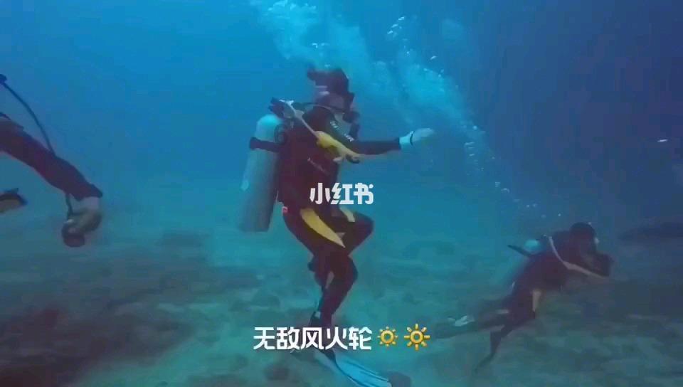 法环 最强骨灰游戏画面
